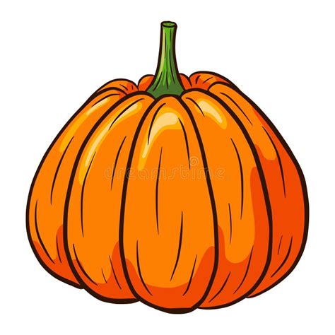 Cartoon Pumpkin Illustration Autumn Food Icon Ripe Squash Sketch