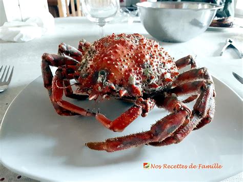 Araignée de mer ou squinado