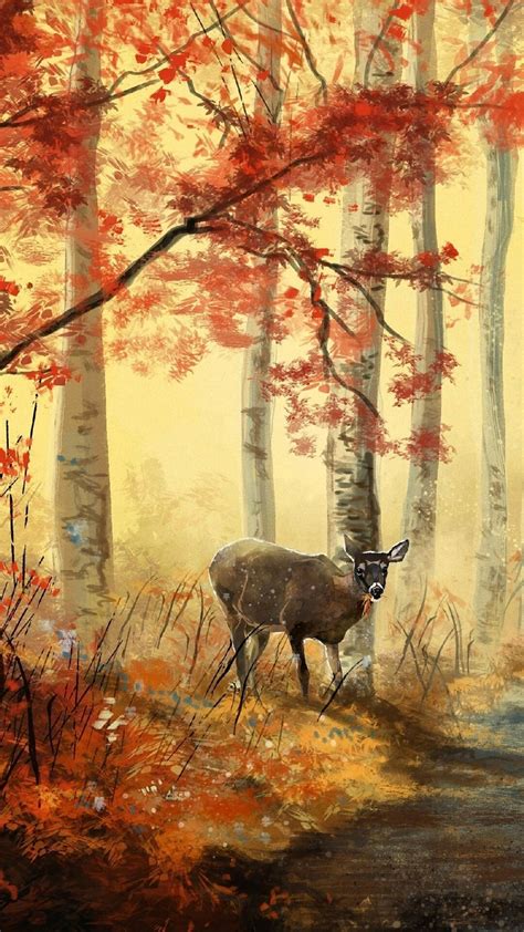 Pin By Eva 814 On Animals Of The Wilderness 1 Pretty Pictures