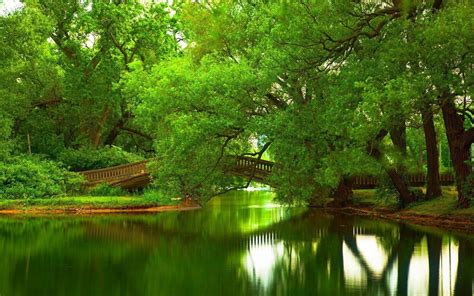 Green Bridge Trees River Nature 1080p Wallpaper Hdwallpaper