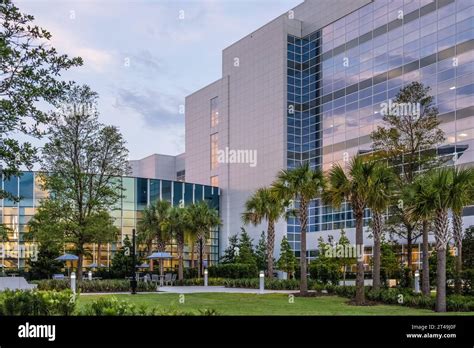 Mayo Clinic In Jacksonville Florida At Dusk Usa Stock Photo Alamy