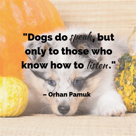 207 Exclusive Dog Quotes That Are So True Bayart