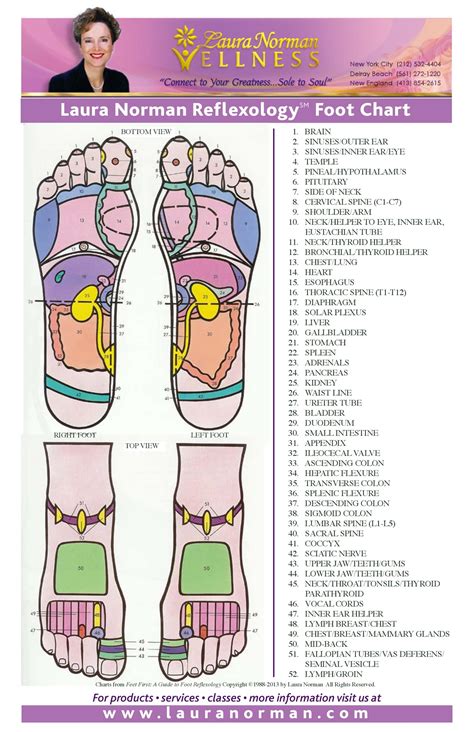 Picture Of Reflexology Foot Chart