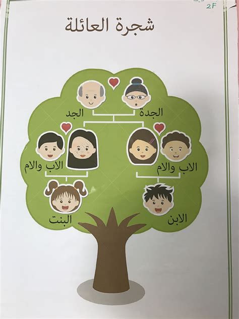 رسم شجرة العائلة بالوورد