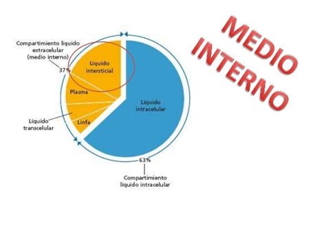 Medio Interno