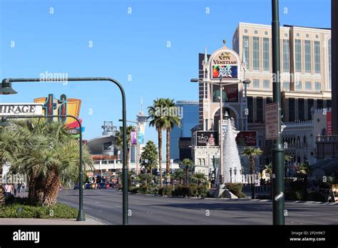 Las Vegas Strip With Palm Trees And Hotel Views Las Vegas Nevada Usa