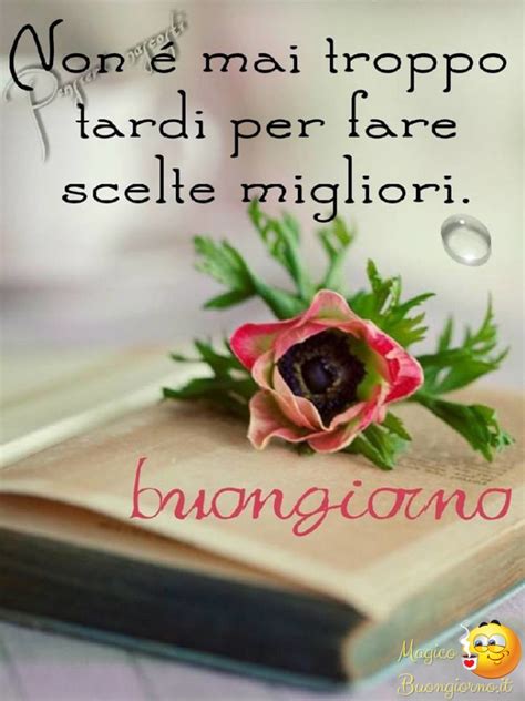 Buona giornata immagini fiori per whatsapp. Buongiorno Whatsapp | MagicoBuongiorno.it