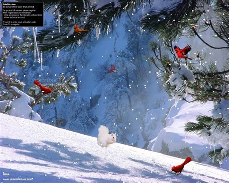 49 Animated Winter Screensavers And Wallpapers Wallpapersafari
