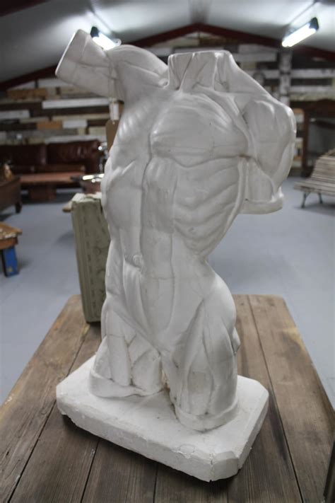 Vintage 1950s Anatomical Male Torso Statue Warwick Reclamation