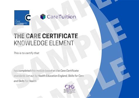 Learn To Be A Caregiver Certificate In Care Caretuition
