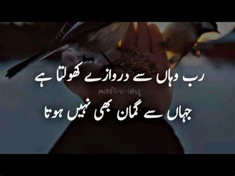 Hazrat Ali Quotes In Urdu Hazrat Alii Pyari Baatain Best Urdu