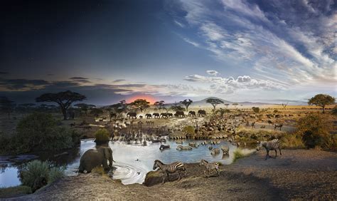Serengeti National Park National Geographic Society Newsroom