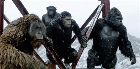 Five New Cast Members Join The Movie Kingdom Of The Planet Of The Apes