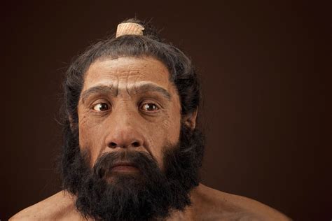 Exploring Blood Types Of Neanderthal And Denisovan Individuals