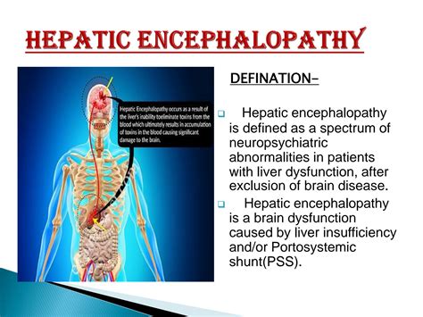 Solution Hepatic Encephalopathy Its Signs Studypool