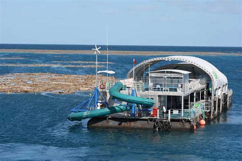 Why You Should Go On A Great Barrier Reef Pontoon