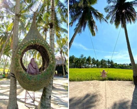 For those who love nature and beautiful village atmosphere and permai this is the place: 'Feeling' Pergi Bali Di Pulau Pinang, Port Cantik Ini ...