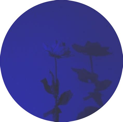 Aesthetic Flower Bleu Blue Fleur Sticker By Chimkyy