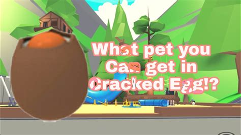 Pets You Can Get In Adopt Me What Pet You Can Get In Cracked Egg