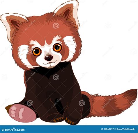 Cute Red Panda Stock Vector Illustration Of Clipart 34260797