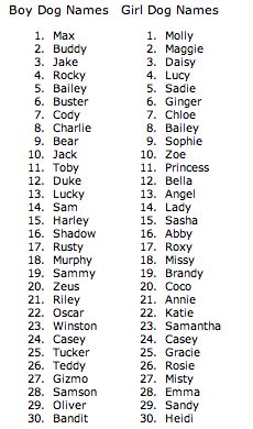So Many Names - Dog Blog For Everyone