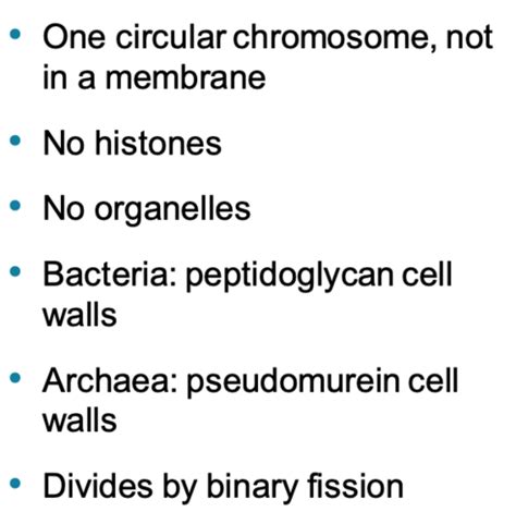 chapter 4 functional anatomy of prokaryotic cells flashcards quizlet