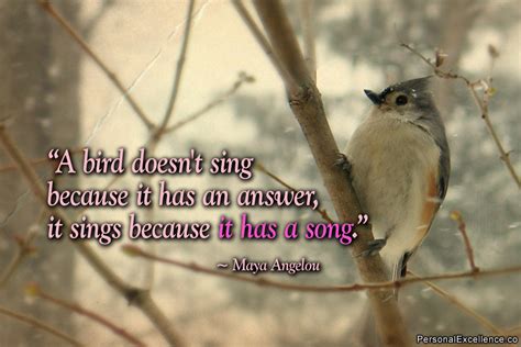 Quotes And Sayings About Birds Quotesgram