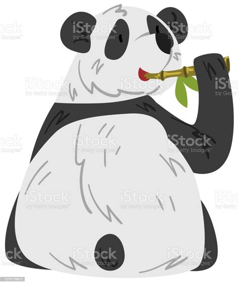 Cute Panda Bear Eating Stem Of Bamboo Funny Wild Animal Cartoon Style