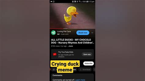 Original Crying Duck Meme Youtube