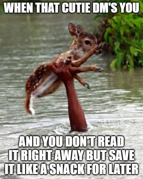 Saving Deer Memes Imgflip