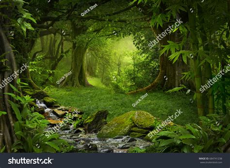 Tropical Jungle Stock Photo 684741238 Shutterstock