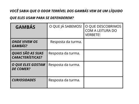 Atividade Verbete 2 Ano