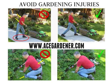 Tips To Avoid Gardening Injuries