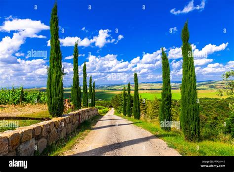 Landscape Of Tuscanyval D Orciaitaly Stock Photo Alamy