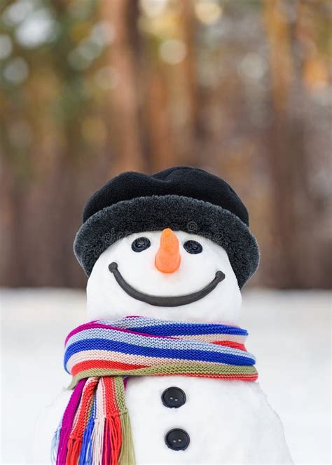 Fairy Snowman With A Cute Smile Stock Photo Image Of Cold Snow