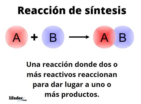 Reacci N De S Ntesis Tipos Factores Ejemplos