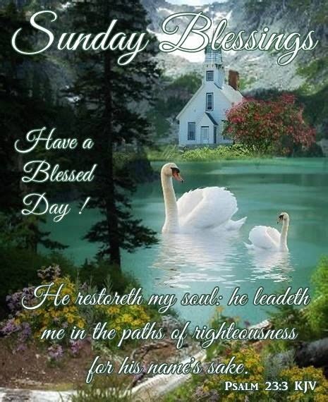 Swan Sunday Blessing Image Pictures Photos And Images For Facebook