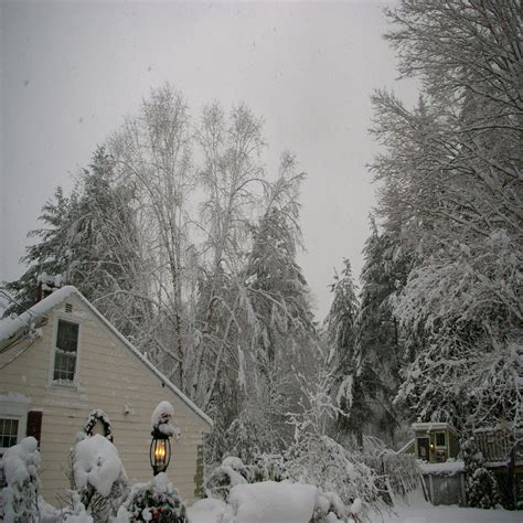 Sticky Snow New England