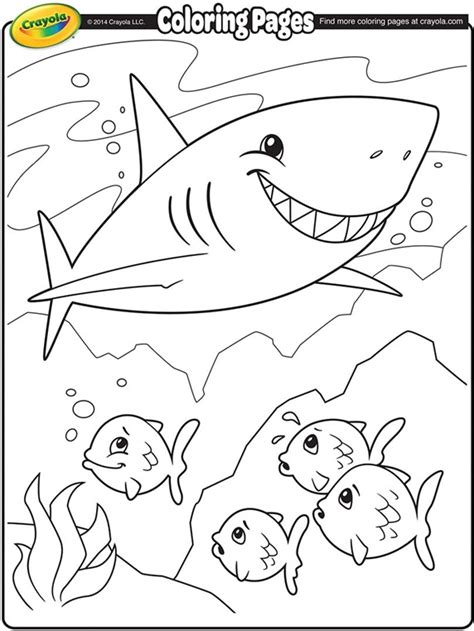 Colorindo e desenhando baby shark pintando desenhos para. Shark Coloring Page | crayola.com