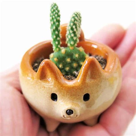 How much does the shipping cost for ceramic cactus pots? Siros Funny Animals Shiba Inu Shaped Cactus Pot ...
