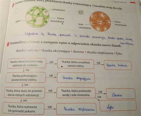 Cwiczenia Do Biologi Klasa 7 - zadanie 6 i 7 str 65 puls życia - Brainly.pl