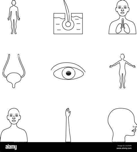 Eye And Human Body Parts Icon Set Over White Background Line Style