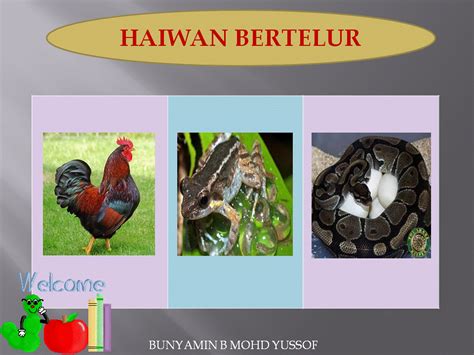 Urutan tumbesaran tumbuh tumbuhan #cikgootube related image with sains tahun 2 unit 8 campuran cikgootube sainstube. Dunia Sains dan Teknologi (Belajar dengan Ceria): DST ...