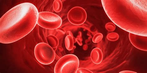 Apa yang dimaksud dengan anemia? - Ilmu Kedokteran - Dictio Community