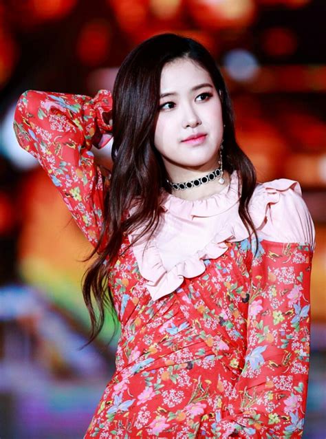 Последние твиты от blackpink rosé 로제 (@roses_are__rose). BLACKPINK's Rose Becomes The New Global Face of 'Yves ...