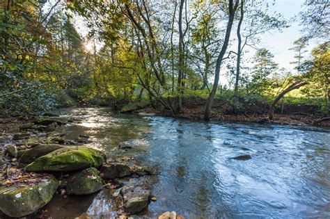 Nestled right up against seasonally running big bug creek, creekside, in mayer, is the perfect location for a getaway together with your family, or a romantic adventure you can share for some good, quality time with each other and mother nature! Blue Sky Cabin Rentals: Creekside Reflections