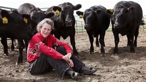 Senaryo temple grandin, margaret scariano, temple grandin, christopher monger, merritt johnson. Temple Grandin: A visionary for the meat industry - YouTube