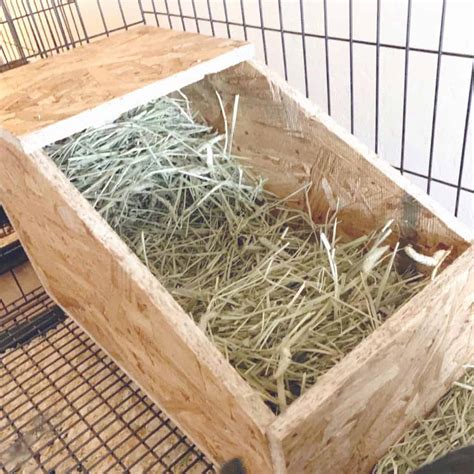 How To Build A Rabbit Nest Box Easy Steps
