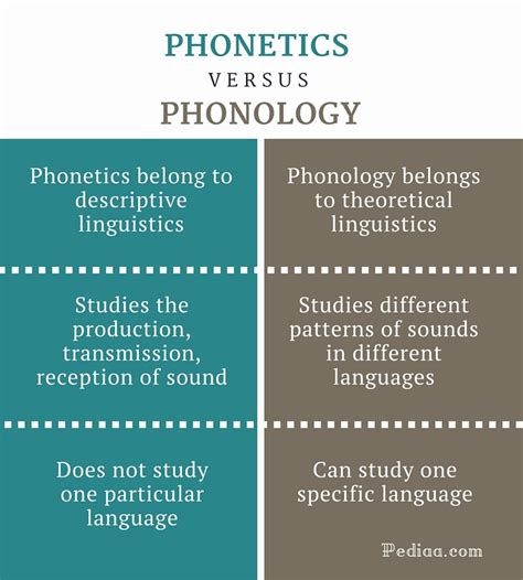 Pdf Areas In Phonetics And Phonology Differences Between Speech And