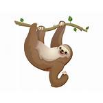 Sloth Transparent Clip Clipart Drawing Library